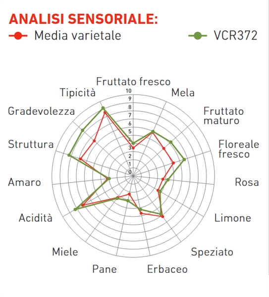 glera_diagram