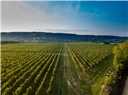 hony_dubnik_bundas_zamocke_vinarstvo_06
