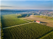 hony_dubnik_bundas_zamocke_vinarstvo_07