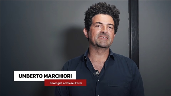 diesel_umberto_macchiori_enologo_01